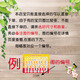 
Chemistry Laboratory Physicist Celebrity Quotes Introduction Classroom Arrangement Wall Painting Photo KT Board Exhibition Board Decoration Painting 1319 Big