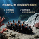
Liaozhe Dalian Organic Frozen Sea Cucumber 1Jin [Jin equals 0.5 kg] 13-15 non-ready-to-eat OCC flagship store independently packaged genuine products