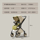 DearMom stroller Rome holiday two-way foldable seats and lying lightweight high landscape with shock absorbing trolley Max