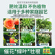 Mu Yunyao nutrient solution plant universal flower fertilizer fortune tree rich bamboo golden kudzu hydroponic potted household flower fertilizer large package universal nutrient solution 2500ml*1 bottle + rooting powder 2 packs