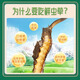 挖草人【西藏那曲】新鲜野生冬虫夏草 2025那曲野生鲜虫草头茬鲜虫草 0.8克/根 那曲野生鲜虫草 20根