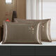 Almohadas de verano para hombres Summer Summer Silk Pillow Case de almohada de doble cara cubierta de núcleo de almohada de ratán fresco para adultos más enredadera de hielo 679-7 (lavable) predeterminado 48*74 estuche de almohada (un par)