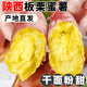 Kangtianhui Shaanxi Chestnut, Sweet Potato, Seasonal Fresh Vegetables, Fresh Naturally Cooked Sweet Potatoes, Fruits and Vegetables, Whole Box 5 Jin Jin equals 0.5 kg, Pink and sweet, Thumb Sweet Potato Net 4.5 Jin Jin equals 0.5 kg + Fresh
