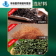 Général Beijing Corn rasage thé Green Money Willow Corn Shave Murata Tea Chrysanthemum Cassia Tea Puerraria Root Lotus Leaf Hawthorn élevé 3 boîtes d'argent économique