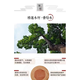 Sanqihu XiangChangchengmu Tea Tisch Tatami Tee Tisch Balkon kleiner Tisch Massivholz Tee Tisch Erker Erkerblatt Tisch Z1048 Länge Breite 1217037 Brettdicke 7 cm Beinhöhe 30