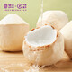JOYVIO Thai easy-opening green coconut 6 pieces medium fruit 800g+ fruit straight from the source fruit gift box