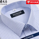 PDG Yageol Short à manches à manches courtes de 2025 Coton Pure Coton Pure Business Casual Business sans Ironre Shirt Professional Shirt à manches courtes DX6630 38 Suggestions [70-95Jin [Jin est égal à 0,5 kg]]]