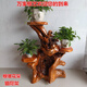 Wurzelschnitzverzierungen natürliche Baumwurzeln Großer Blumenständer Massivholz Wurzel Wohnzimmer Bonsai Basis Kampfer Holz Blumenständer künstlerische Ornamente H6221