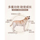 Ouyue dog food 20kg adult dog food natural food 40Jin Jin is equal to 0.5kg 20Jin Jin is equal to 0.5kg 5Jin Jin is equal to 0.5kg Golden Retriever Satsuma Teddy Bichon Puppy Food 2.5kg Egg Yolk Milk Cake Dog Food
