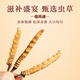高端礼盒装冬虫夏草送长辈送领导滋补品藏区冬虫夏草干虫草50根 50根【3根一克】高端礼盒装