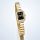 Darwin Core small gold jade watch gold black face New Year gift