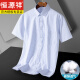 Hengyuanxiang men's comfortable short-sleeved cotton shirt summer thin style breathable cool lapel professional suit striped shirt DX6626 42