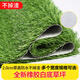 Fake lawn dog toilet lawn mat pet peeing fake turf washable artificial turf mat pet peeing pad 60cm*100cm (white background 2cm tall grass) 1 piece