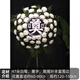 Flowers and Qianxun, chrysanthemums, flower wreaths, old people's death, funerals, funeral supplies, tomb sweeping and commemoration, door-to-door delivery in the same city, 31 types of funeral wreaths (2 colors optional)