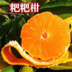 Authentic Sichuan Chunjian Raking Mandarin Seeds Fruit Tree Papa Mandarin Southern Ugly Orange Seeds Planted in the North and South Raking Mandarin Seeds Five Packs of About 50 Tablets