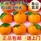 Jingmi Xiangshan Red Beauty Citrus, net weight 1.3Jin Jin equals 0.5kg, 4 pieces, single fruit 140g + Ehime jelly orange source straight hair