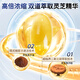Yuanshengtai Gao Triterpene Ganoderma lucidum spore oil soft capsules broken wall Ganoderma lucidum spore powder essence Nutritional health products for middle-aged and elderly people