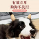 Puppy ear ear erecting device Dog ear ear erecting device Ear erecting stickers Glue-free multi-functional stickers Puppy ear erecting aid Khaki color - 1 roll 2.5cm wide * 4.5m long