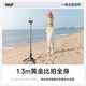 W/P Selfie Stick Tripod Anti-Shake Gimbal 360 rotierende Multifunktions-Multifunktionslive-Mobiltelefon-Mobiltelefon-Ständer Handheld Travel Artefact Tragbares Bluetooth WP für Apple Xiaomi geeignet