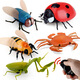 
Original direct supply, novel and unique remote control electric insect toys, electric snails and rats, pranks, 9923 bee, 129G, weight 0.29kg