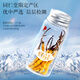 Tongrentang Brand Beijing Tongrentang Fresh Cordyceps Cordyceps Fresh Cordyceps Gift Box Unbreakable Grass Gifts for Elders 1 Box 30G 4A 30 Fresh Cordyceps 1-1.3g/piece