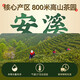 Tieguanyin neuer Tee authentisch Fujian Anxi Oolong Tee reichhaltig und duftender Duft authentisch kons