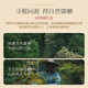 武夷山大红袍乌龙茶武夷岩茶正岩大红袍一级50g中火罐装茶叶