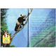 Click to read the United States National Geographic Grading Reading Book Children's Encyclopedia Picture Book in English Season 2 L2 25 volumes Randomly sent