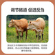Zhengda Huadong 4 beef cattle premixed calf fattening cattle feed rapid fattening and weight gain without pulling the frame