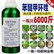 40% difenoconazole fungicide powdery mildew leaf spot downy mildew fruit tree vegetable flower pesticide 500g