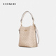 COACH brand direct supply women's bag MOLLIE portable crossbody bucket bag CBQ33 Christmas gift