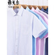
CEO men's short-sleeved shirt middle-aged business casual stripes without ironing and anti-wrinkle professional formal wear solid color cotton shirt purple stripes DX6621 41 Recommended 145-155Jin [Jin equals 0.5 kg]