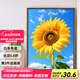 Jingzuo (Jingzuo) Sunflower Digital Huile Peinture DIY Coloriage peinture salon suspendu peinture décorative peinture à l'huile peinte à la main