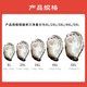 Fresh Jingcai Fresh Oysters 4XL Net weight 5Jin Jin is equal to 0.5kg 10-13 oysters delivered fresh to your home Fresh seafood straight from the source