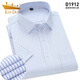 Golden Shield Summer Blue Wide Stripe Shirt Men's Short Sleeve Business Formal Wear Half Sleeve Shirt Plus Fat Plus Large Size Professional Workwear D5012-33 Blue Thick Stripe 41 [Suitable for 145-155Jin [Jin equals 0.5 kg]]