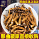Dongzai [Narqu, Tibet] Wild Cordyceps sinensis hoher Höhe wild getrockneter Cordyceps Sinesis Tonic Gift Box für Älteste [Narqu, Tibet] 5 Wurzeln/G-Erschwinglich für Selbstverwendung 5 Gramm (Geschenkbox)