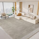Tianjin carpet living room 2025 new light luxury sofa floor mat with no washing and erasable household waterproof bedroom thick PDD Qingqiang-13566 upgraded three-waterproof crystal velvet 1 piece wide 80*160 cm waterproof and clean with one wipe