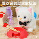 Щенка Electric Plush Toy Coll Моделирование маленькой животные многофункциональные электрические собаки образование детские игрушки розовые кроличьи корзина + электрическая кошка