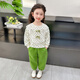 Burwilde International Brand Girls' Fashion Floral Sweater Set Western Style Spring Style Children's Korean Style Two-piece Spring and Autumn Casual Suit Green (Gift Box) 120 cm (Reference Height 112-1204-5 Years Old)
