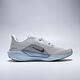 Nike (NIKE) 2025 men's AIR ZOOM PEGASUS 41 running shoes FD2722-015 42