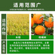 Jianpai 10% Uniconazole pesticide citrus and lychee shoot control flower promoter control shoot growth control pepper harvest old drug Uniconazole 500g