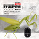 Qianqi Meng Mantis remote control reptile prank insect toys for primary and secondary school students 3-7-8-12-year-old boy and girl [Classic version - remote control centipede] Yellow and black model 9901+ official standard