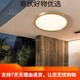 He Jiangong Outdoor Healling Light Villa Gate Front Light Outdoor Balcony Lamp Anti-Mosquito Courtyard x3895-400/круглый/трехцветный регулируемый