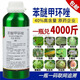 40% difenoconazole fungicide powdery mildew leaf spot downy mildew fruit tree vegetable flower pesticide 500g