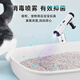 滴水DIISEA 家用全能免吸洗地机DM6 中国原创活水洗地黑科技 图书馆级静音 全自动拖地机 【国家补贴】