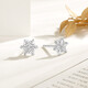 Chao Acer Frosty Snowflake Platinum Earrings for Women PT950 Earrings as a Birthday Gift for Girlfriend, Priced at RMB 170, 0.75g, One Pair, Contains Silicone Ear Plugs