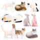 Shantoulin Village Children's Toy's Simulation Modèle Animal MinI Cat Ragdoll Cat Trois chat Cat sans cheveux Éducation précoce