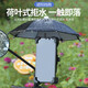 Complete electric battery car mobile phone holder with umbrella, cute navigation bracket, shock-proof takeaway rider bicycle mobile phone holder, ride my beloved motorcycle - handlebar style