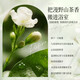 【山茶花香】山茶花洗发水去屑控油蓬松持久留香补水保湿大容量 水润 500ml 1瓶