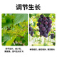 4% benzylaminopurine gibberellic acid, benzylaminopurine gibberellin, grape fruit tree sprouting, flower and fruit preservation, anti-fruit drop pesticide, Zhuoguofeng 4% benzylamine, gibberellic acid 500g*10 bottles